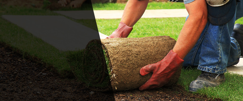 Philipsburg Landscapers